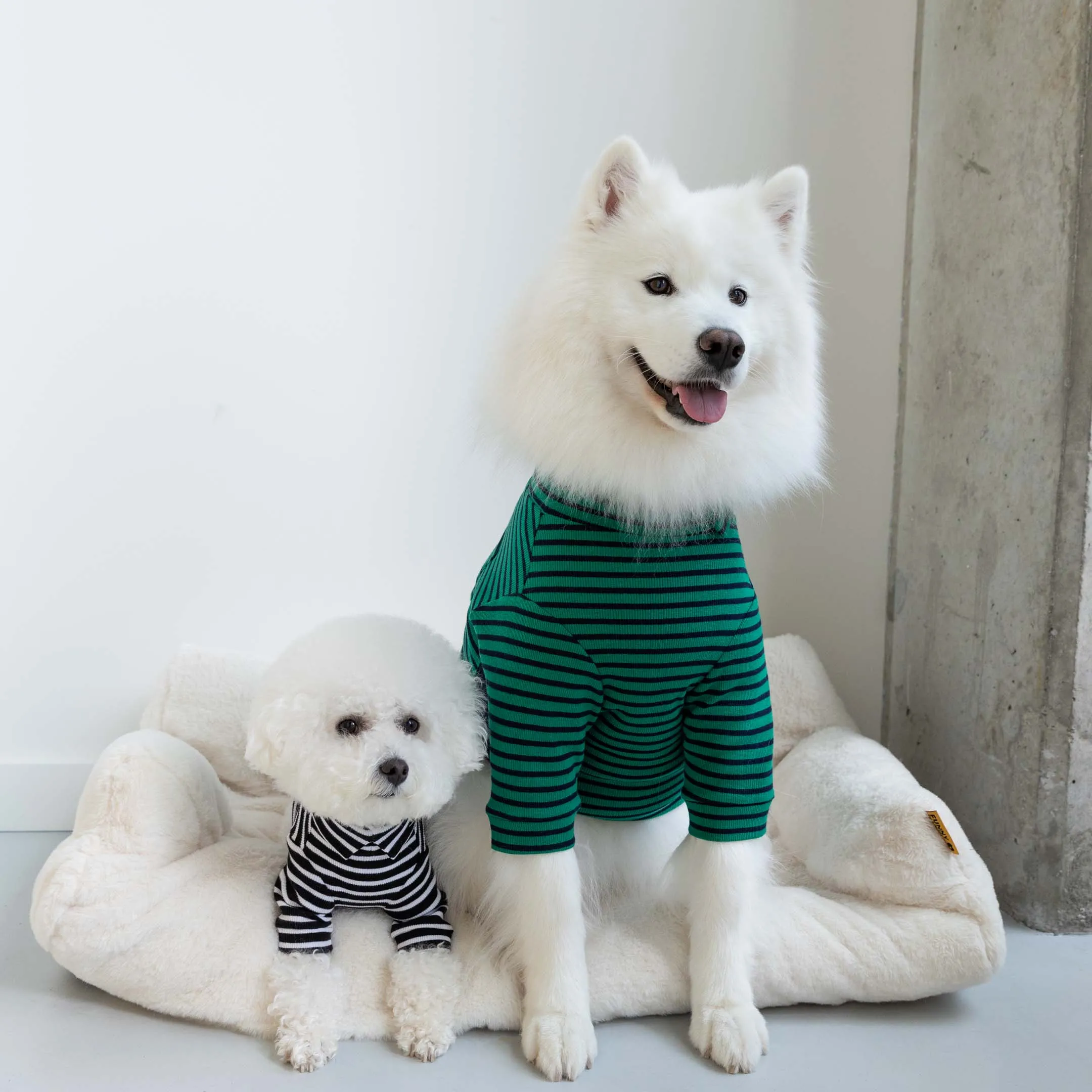 [Stripe Tee] Green & Navy